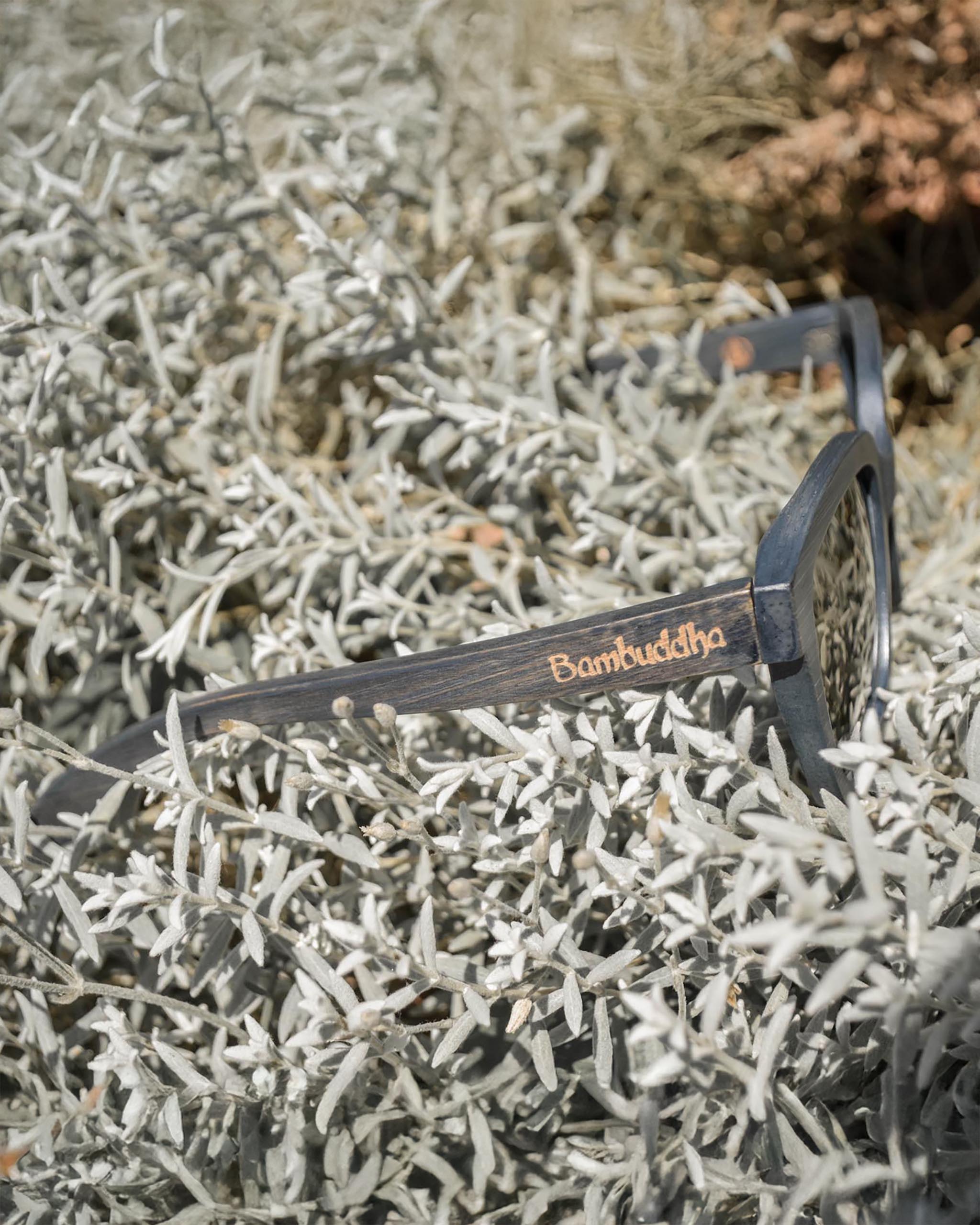 Bambus-Sonnenbrille – Snazzy Shades (Jay Bird Edition)