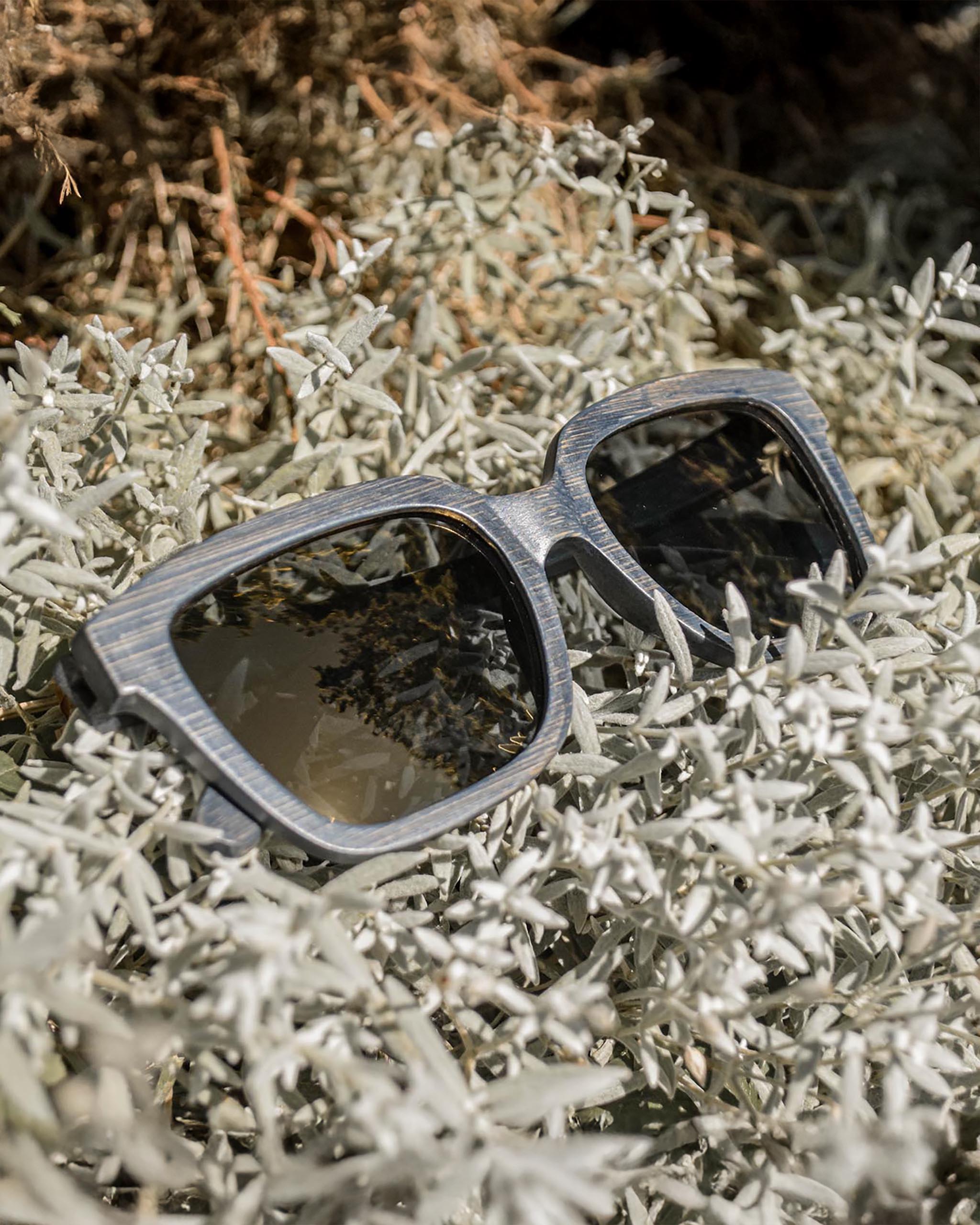 Bambus-Sonnenbrille – Snazzy Shades (Jay Bird Edition)