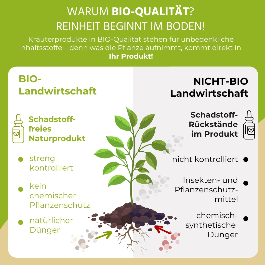 Mariendistel Tinktur BIO (Mariendistel Extrakt) | Auwald