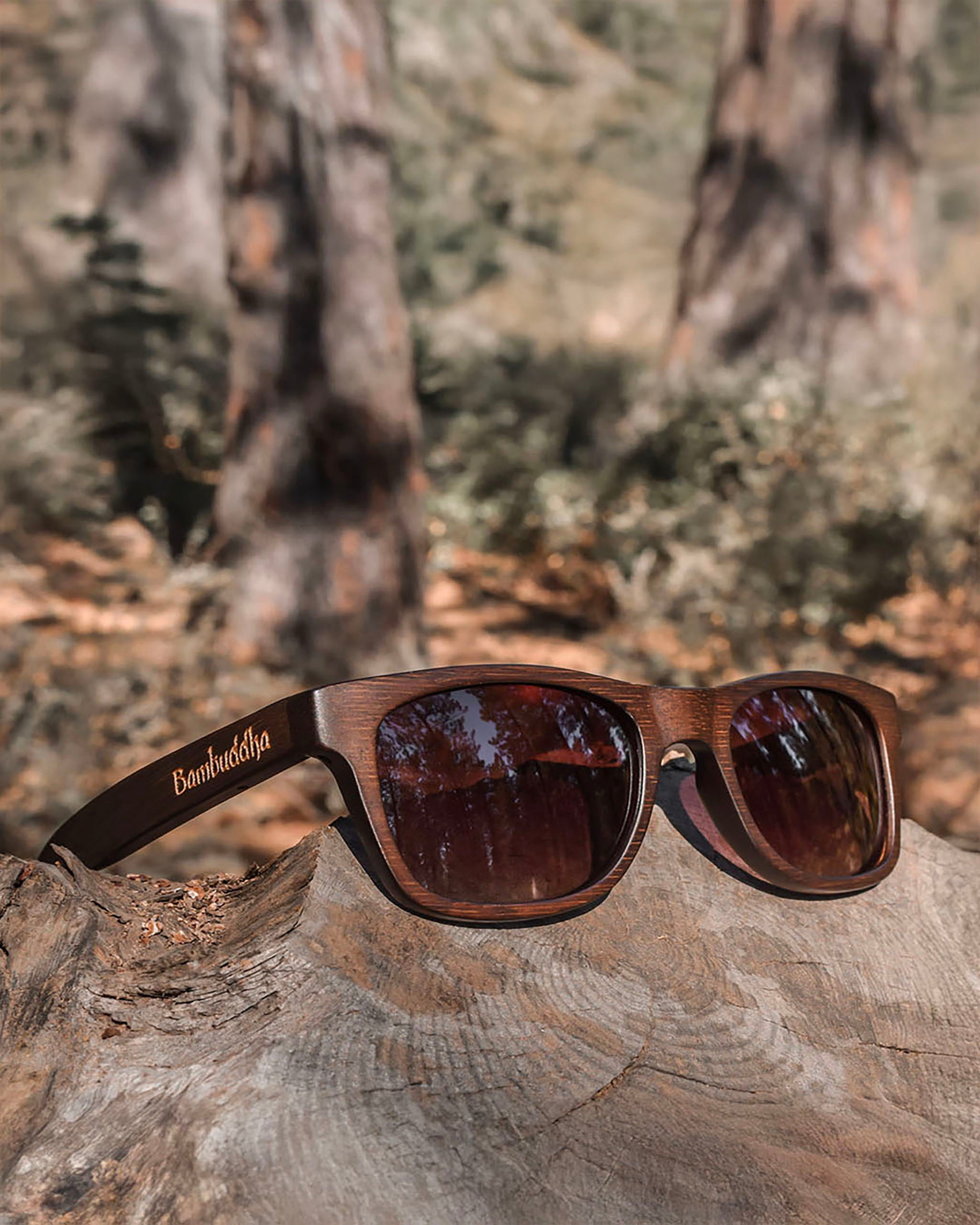 Bambus-Sonnenbrille – Classic Square (Woodsy Edition)