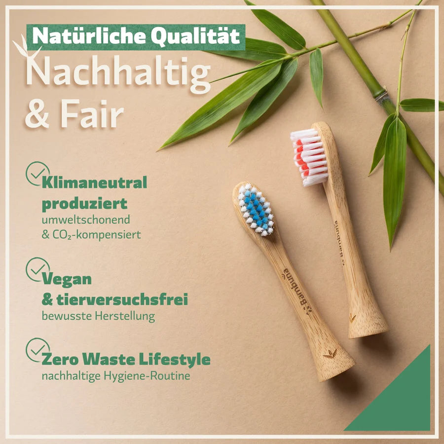 Bambus Aufsteckbürsten für Philips Sonicare – nachhaltig 2er Set | Bambuna