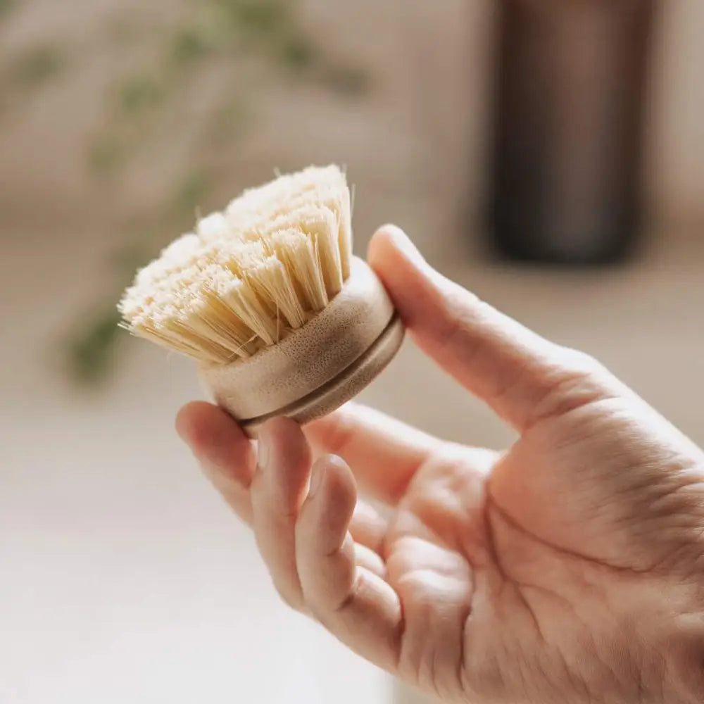 Bambus Spülbürsten-Set – 6-teilig plastikfrei & biologisch abbaubar - Dish brushes