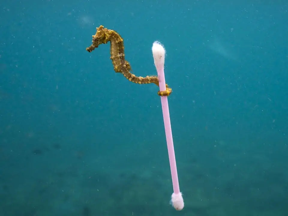 Bambus-Wattestäbchen - Cotton Swabs