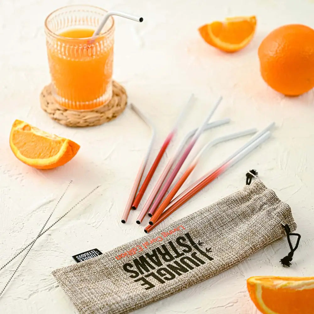 Edelstahl Trinkhalm-Set mit Jute-Etui (8 Stk.) - Reusable Straws