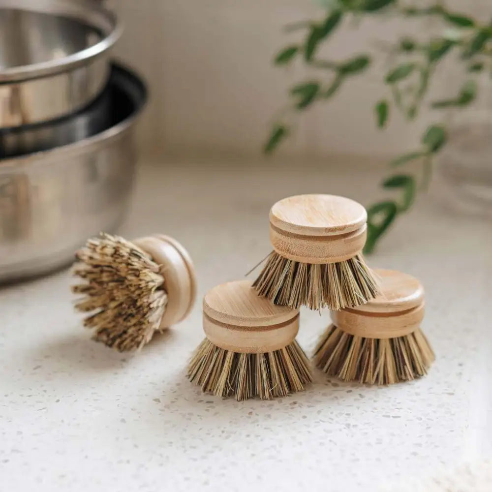 Ersatzköpfe für Bambus-Spülbürsten - Dish brushes