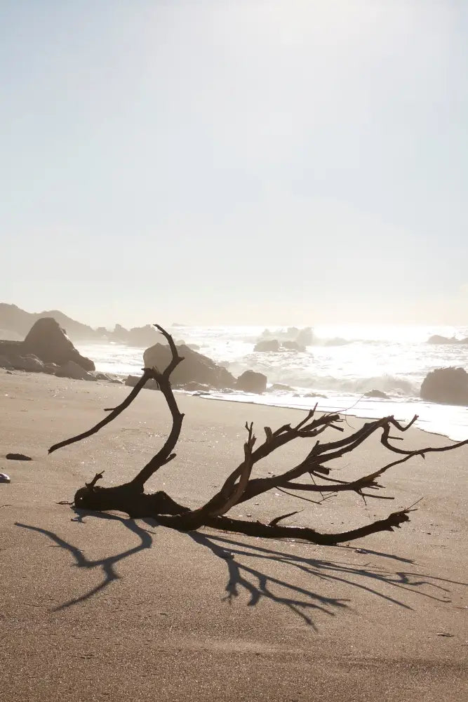 Parfümöl - Earth - n/a