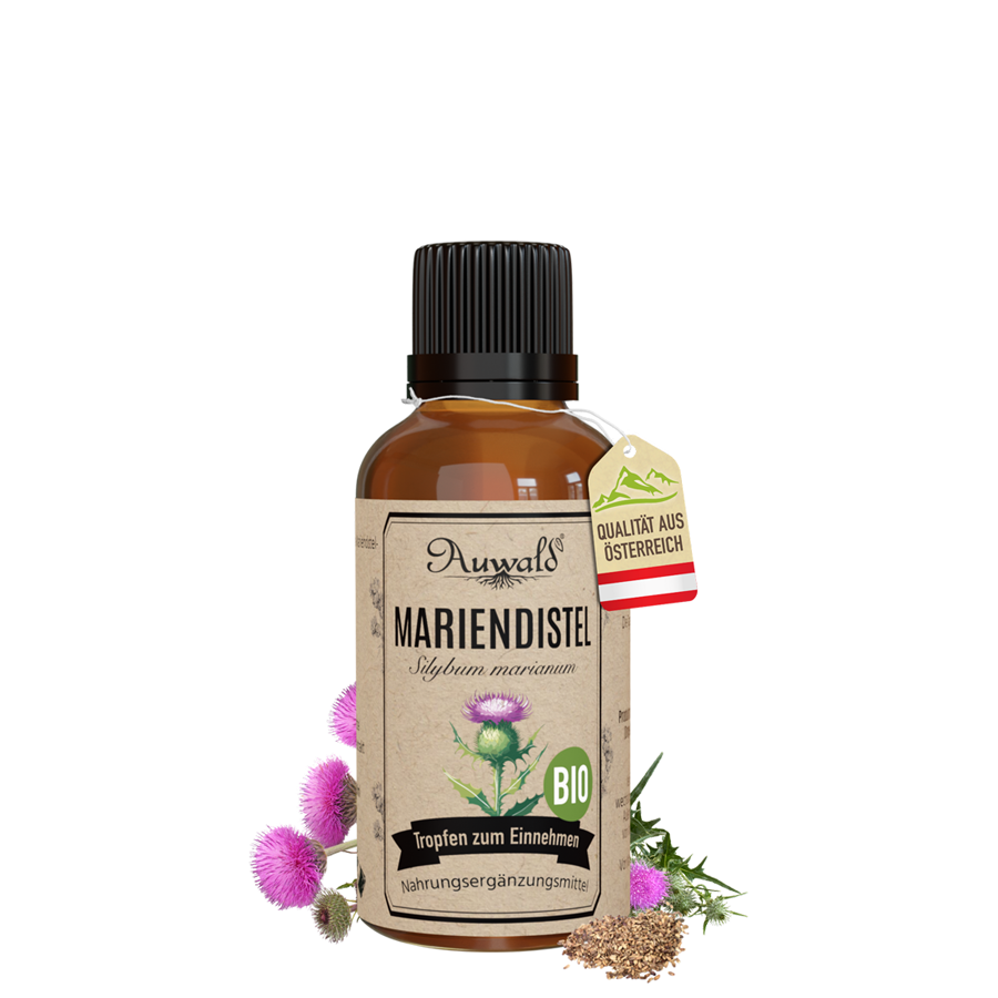 Mariendistel Tinktur BIO (Mariendistel Extrakt) | Auwald